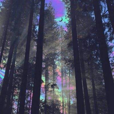 球王会APP下载截图